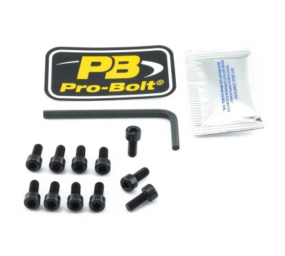 BOLT KIT FUEL CAP BLACK