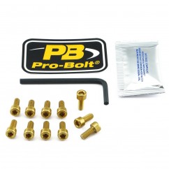 BOLT KIT FUEL CAP GOLD