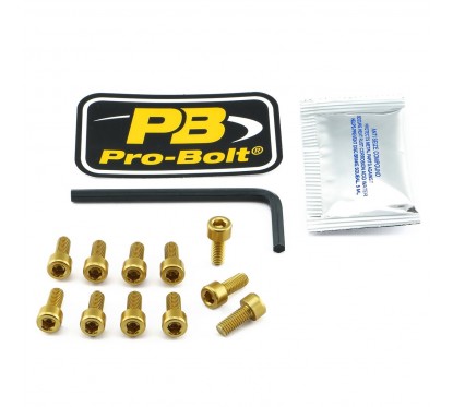 BOLT KIT FUEL CAP GOLD