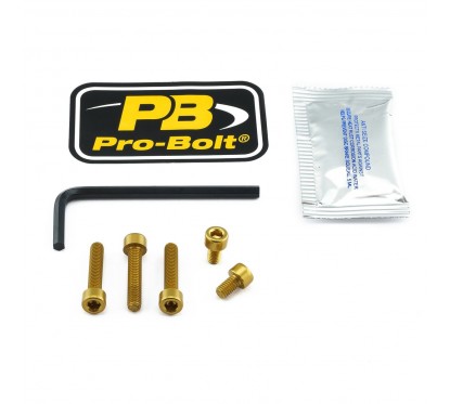 BOLT KIT FUEL CAP GOLD