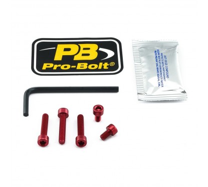 BOLT KIT FUEL CAP RED