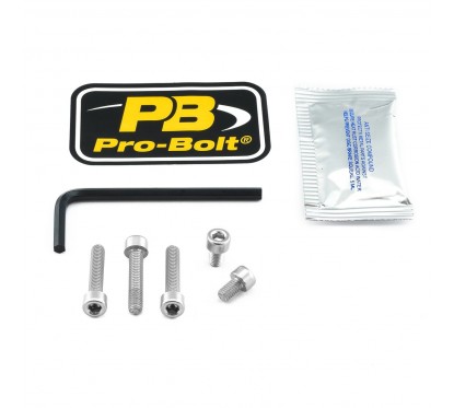 BOLT KIT FUEL CAP SILVER