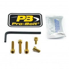 BOLT KIT FUEL CAP GOLD