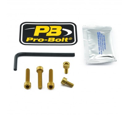 BOLT KIT FUEL CAP GOLD