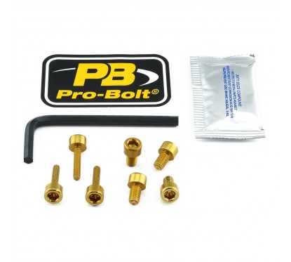 BOLT KIT FUEL CAP GOLD