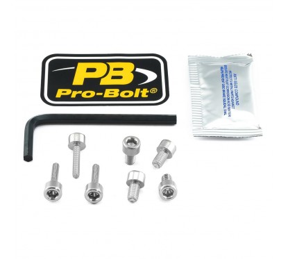 BOLT KIT FUEL CAP SILVER