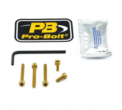 BOLT KIT FUEL CAP GOLD