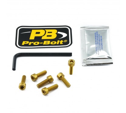 BOLT KIT FUEL CAP GOLD