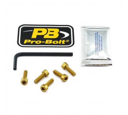 BOLT KIT FUEL CAP GOLD