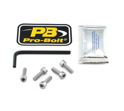 BOLT KIT FUEL CAP SILVER