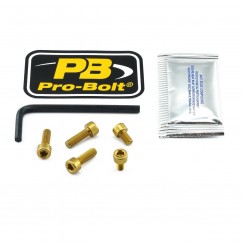 BOLT KIT FUEL CAP GOLD