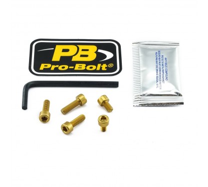 BOLT KIT FUEL CAP GOLD