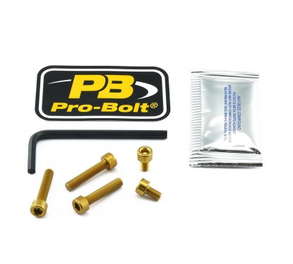 BOLT KIT FUEL CAP GOLD