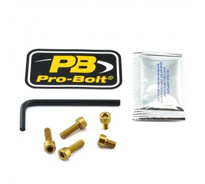 BOLT KIT FUEL CAP GOLD