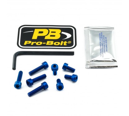 BOLT KIT FUEL CAP BLUE