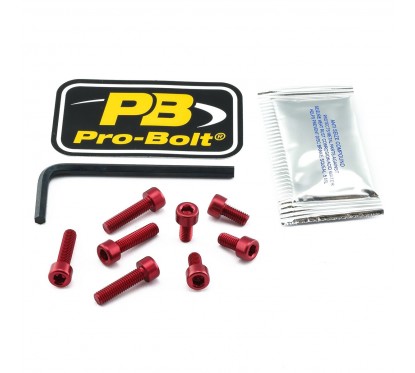 BOLT KIT FUEL CAP RED