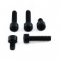 BOLT KIT FUEL CAP BLACK