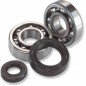 BEARINGS CRANK POLARIS