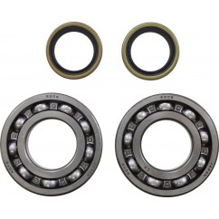 BEARING CRANK MSE BETA