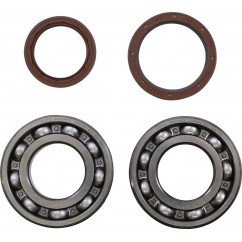 BEARING CRANK MSE BETA