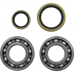 BEARING CRANK MSE BETA