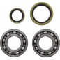 BEARING CRANK MSE BETA