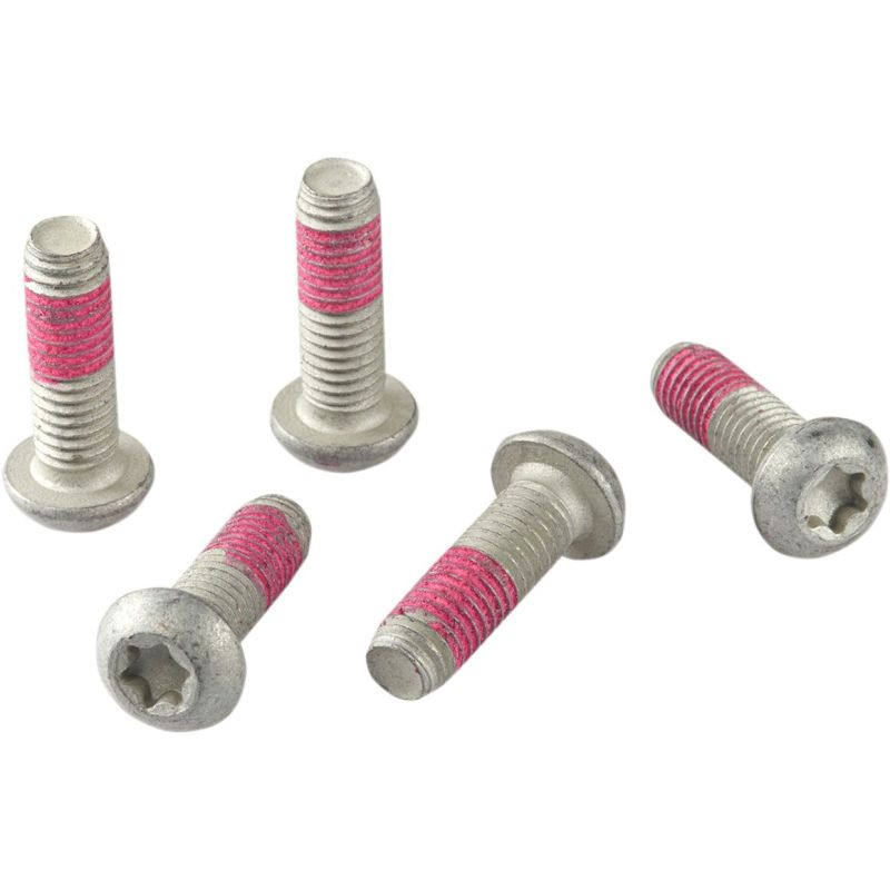 BRAKE DISC BOLT - 17310575