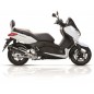 Pot d'échappement YASUNI Scooter 4+E566E495E54E544:E562