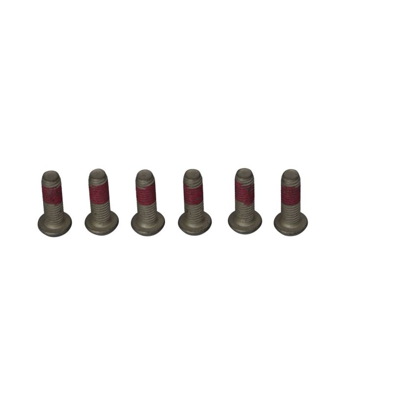 BRAKE ROTOR BOLTS - 17310694