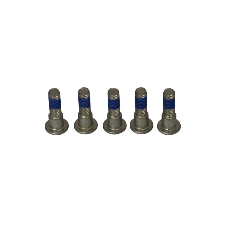 BRAKE ROTOR BOLTS - 17310695