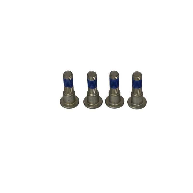 BRAKE ROTOR BOLTS - 17310696