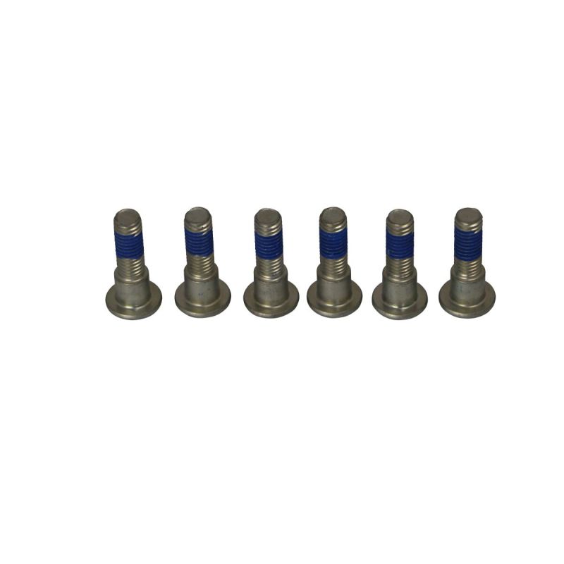 BRAKE ROTOR BOLTS - 17310697
