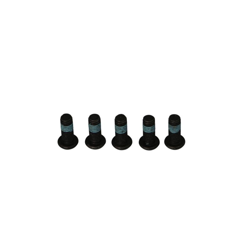 BRAKE ROTOR BOLTS - 17310698
