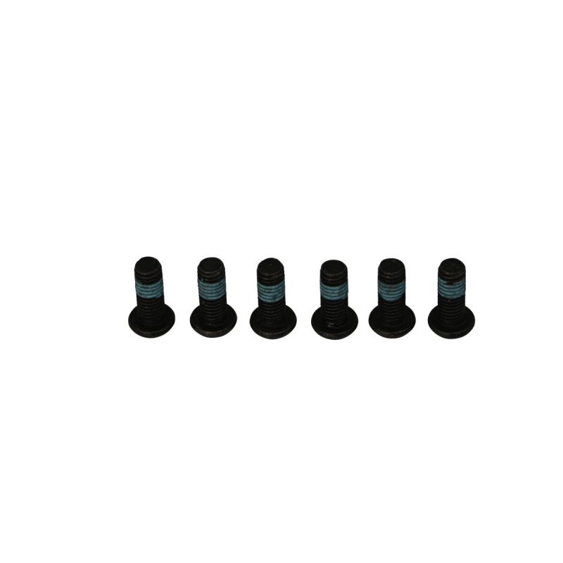 BRAKE ROTOR BOLTS - 17310699