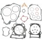 GASKET-KIT COMPL-GRIZ660