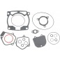 GASKET SET TE-250SX/EXC