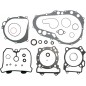 GASKETS W SL DVX/LTZ/KFX