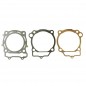 GASKET KIT RACE RMZ450