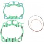 GASKET KIT RACE YZ250