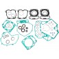 GASKET KT COM W/SLS CANAM