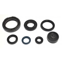 ENGINE OIL SEALS KIT