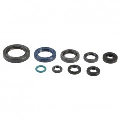 ENGINE OIL SEALS KIT