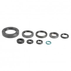 ENGINE OIL SEALS KIT