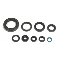 ENGINE OIL SEALS KIT