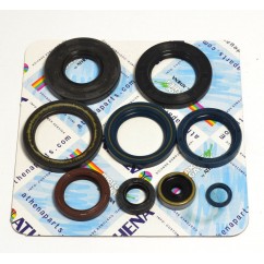 ENGINE OIL SEALS KIT