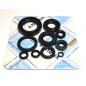 ENGINE OIL SEALS KIT