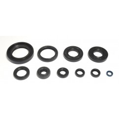 ENGINE OIL SEALS KIT