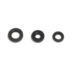 ENGINE OIL SEALS KIT