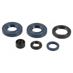 ENGINE OIL SEALS KIT