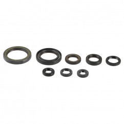 ENGINE OIL SEALS KIT